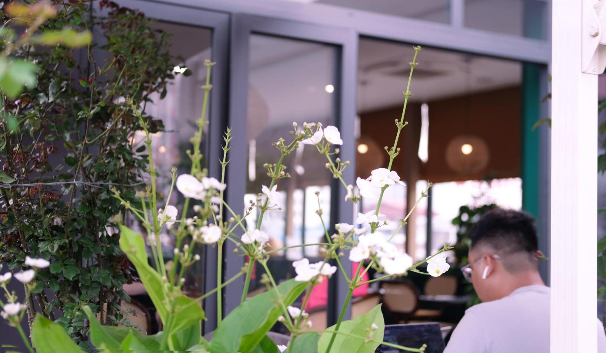 The Bloom Classic - Hotel And Bistro Hanoi Exteriör bild